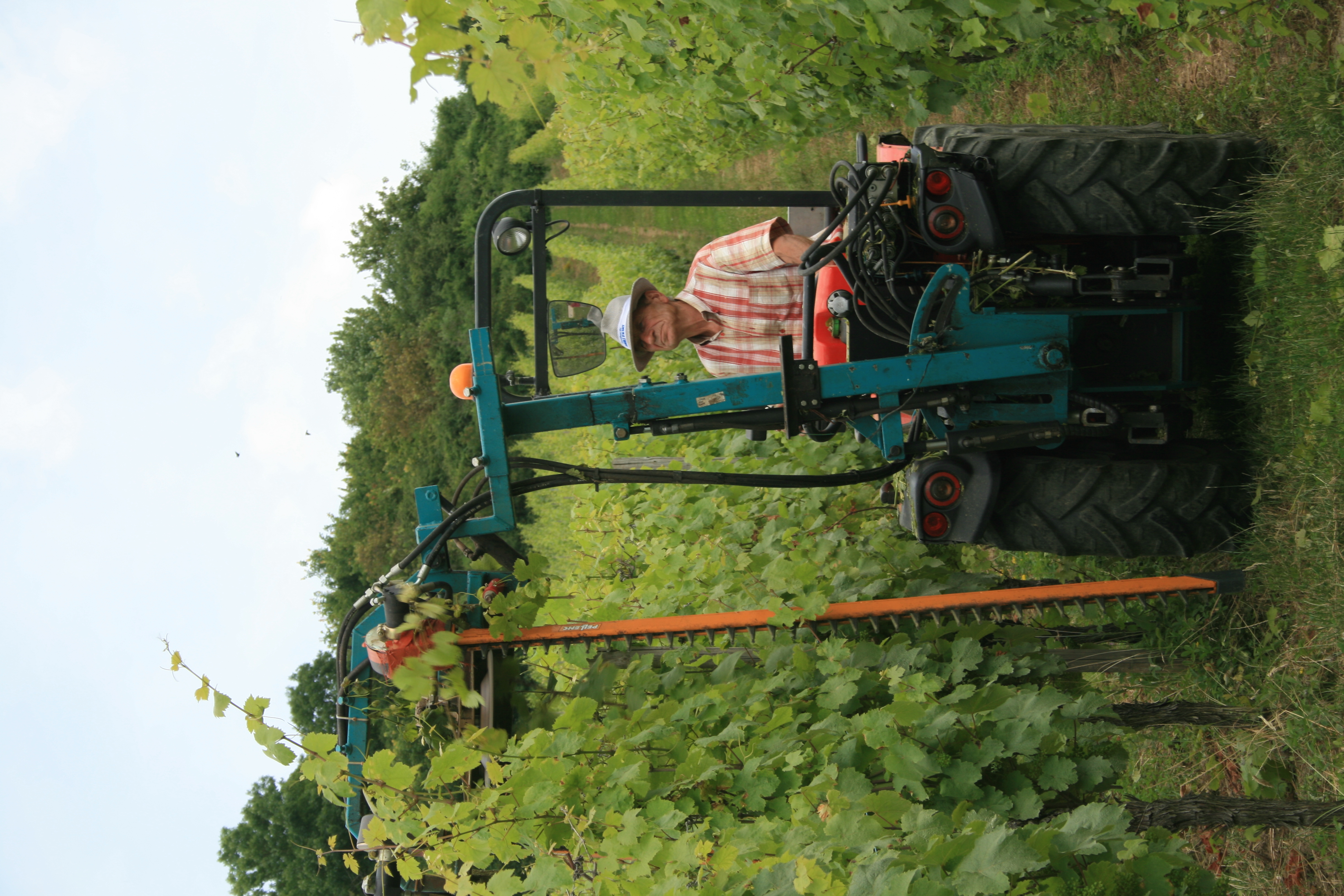 IMG_8525.JPG (3.41 MB)